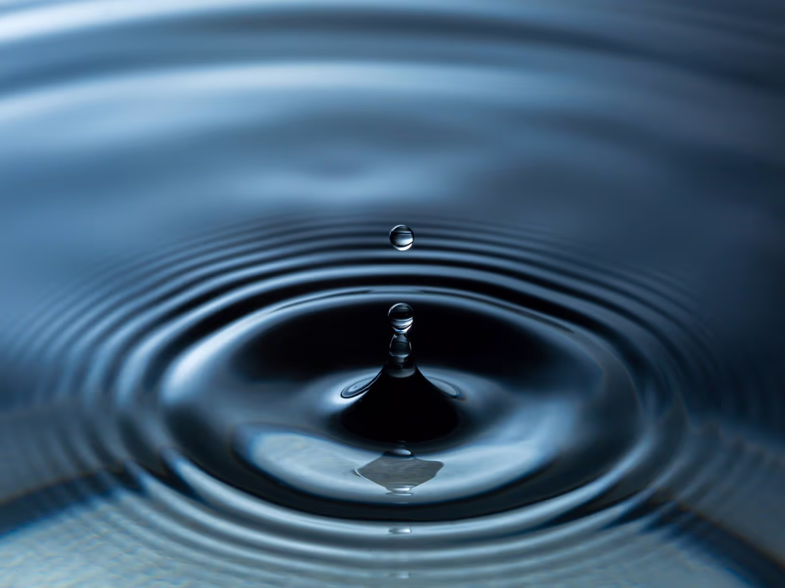 financial advisory and investment banking services